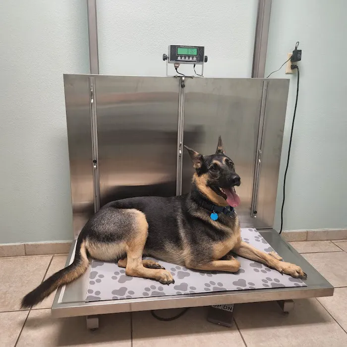 DeBary Animal Clinic 12