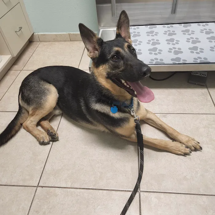 DeBary Animal Clinic 12