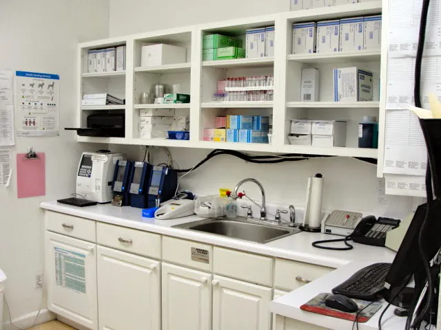VCA Deltona Boulevard Animal Hospital 2