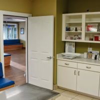 VCA Deltona Boulevard Animal Hospital ico
