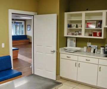VCA Deltona Boulevard Animal Hospital