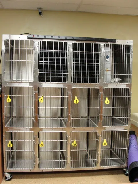 VCA Deltona Boulevard Animal Hospital 4