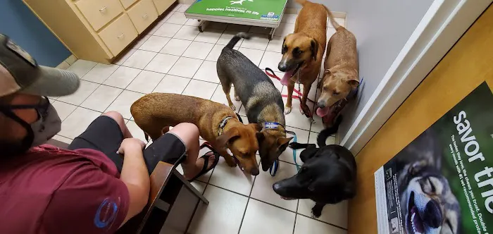 Pine Ridge Pet Clinic 4
