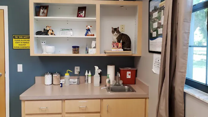 Pine Ridge Pet Clinic 2