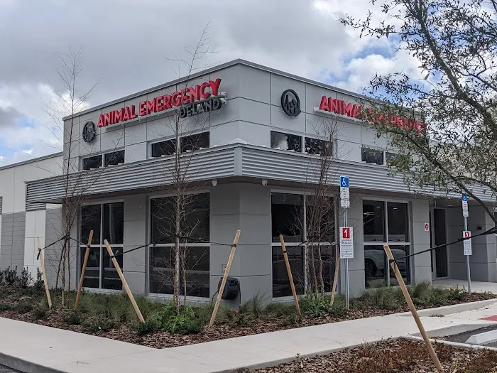 Animal Emergency Hospital DeLand 9