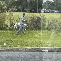 Universal Animal Clinic ico