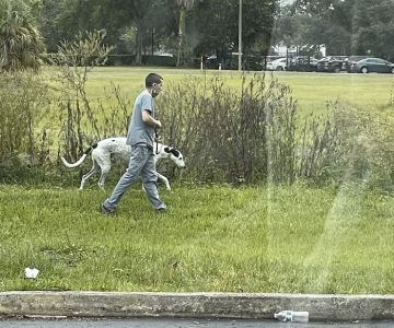 Universal Animal Clinic