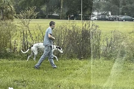 Universal Animal Clinic