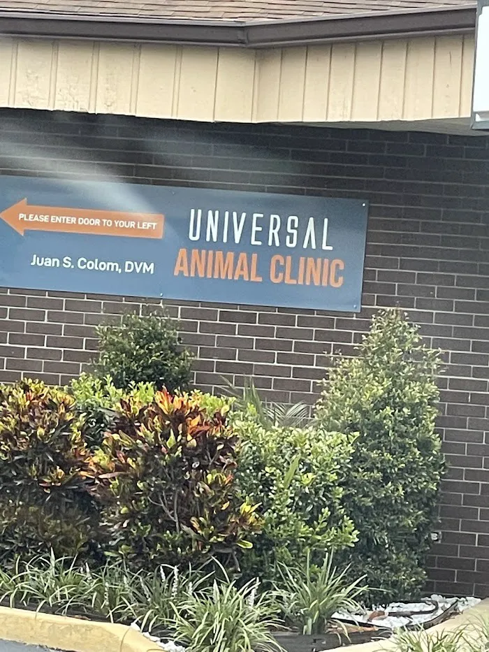 Universal Animal Clinic 12