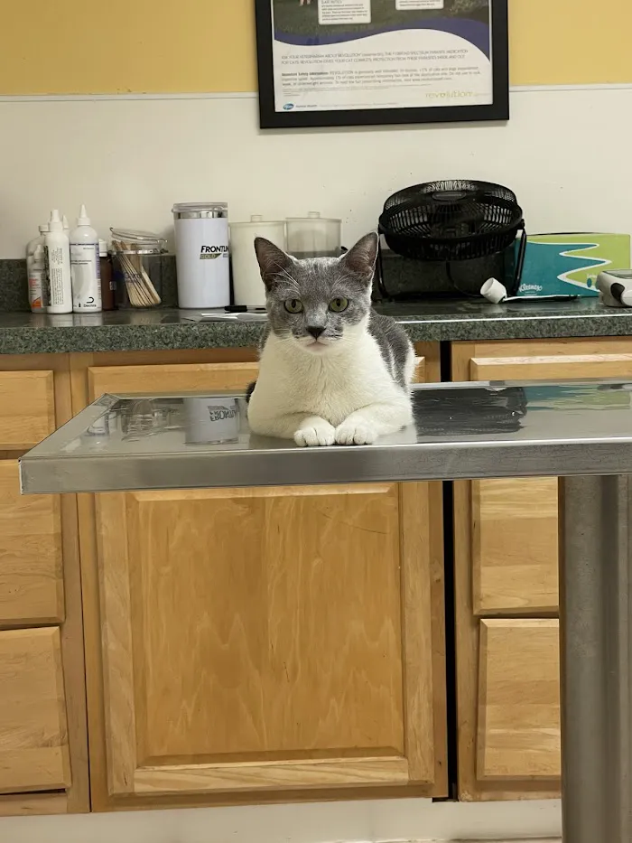 Universal Animal Clinic 12