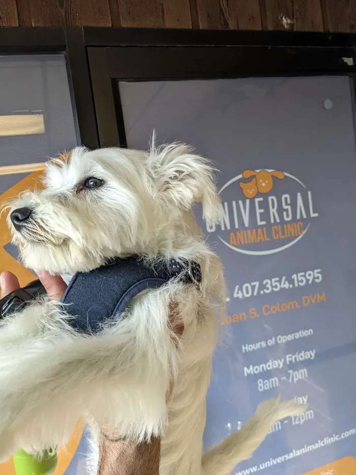 Universal Animal Clinic 12