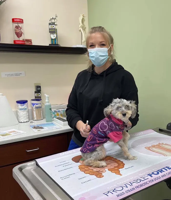 Kirkman Animal Hospital 12