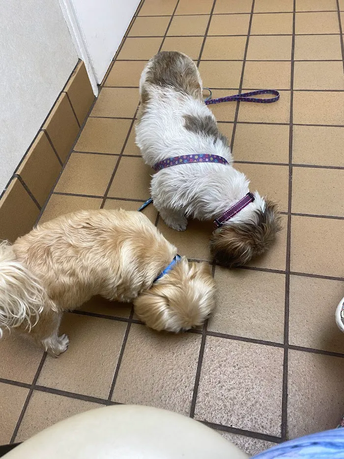 Powers Drive Animal Hospital 9