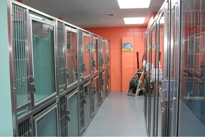 Silver Star Animal Hospital 12