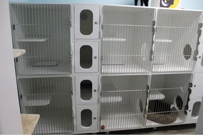 Silver Star Animal Hospital 12
