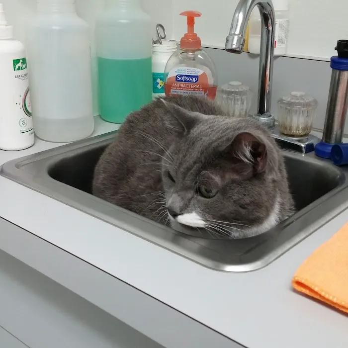 Silver Star Animal Hospital 12