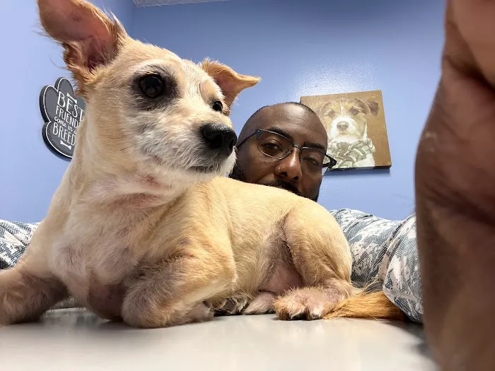 Silver Star Animal Hospital 12