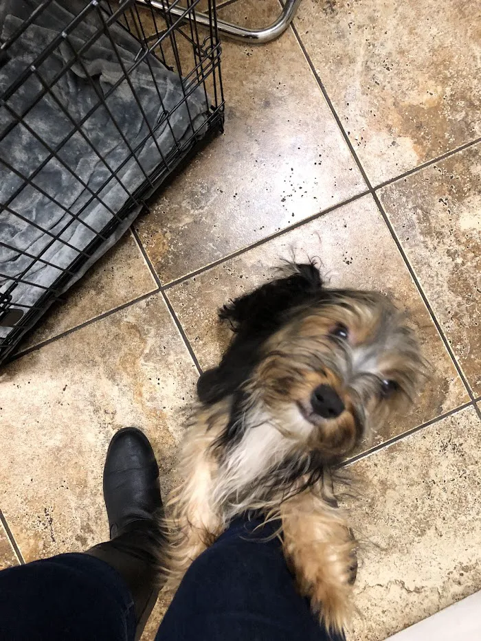 Pine Hills & West Colonial Pet Hospital 7