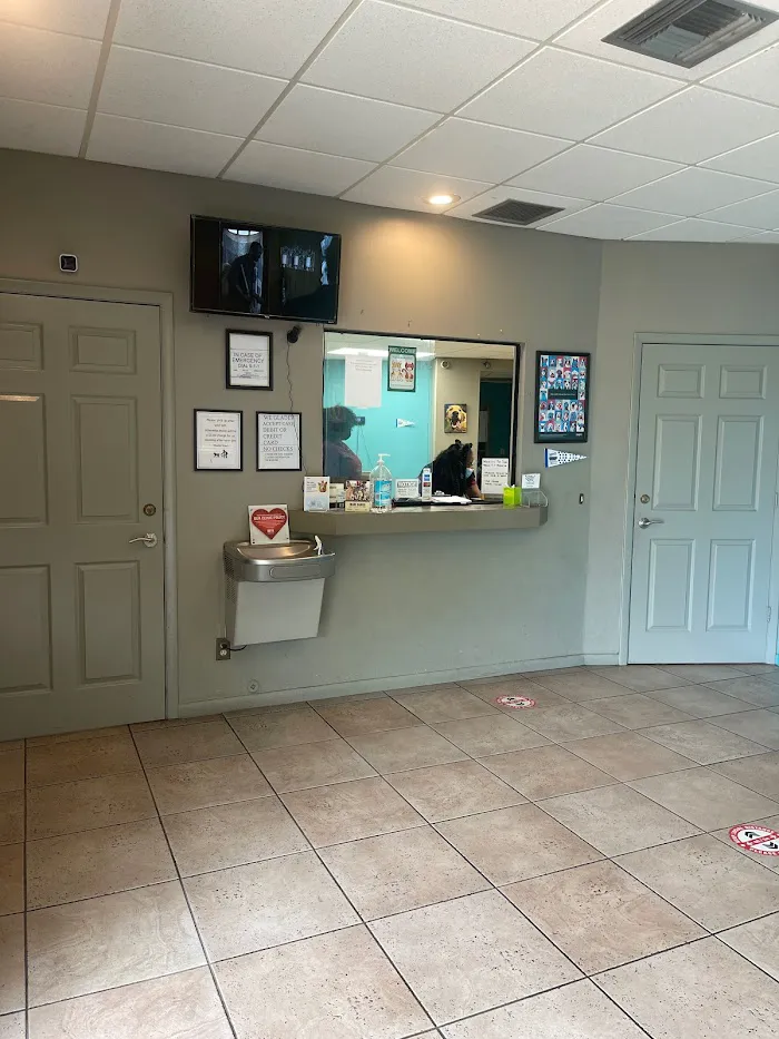 Pine Hills & West Colonial Pet Hospital 5