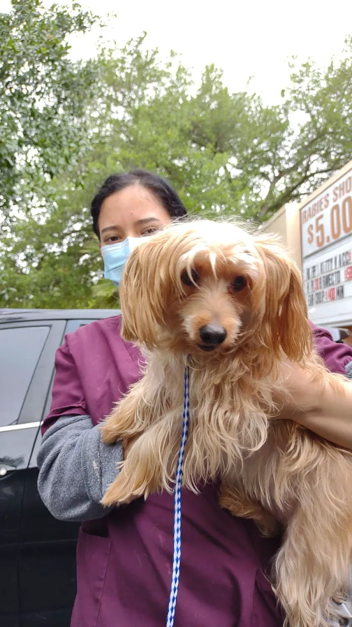 Pine Hills & West Colonial Pet Hospital 4