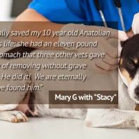 SurgeryVet ico