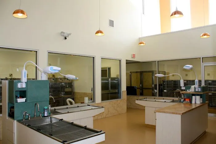 Animal Emergency Center 4