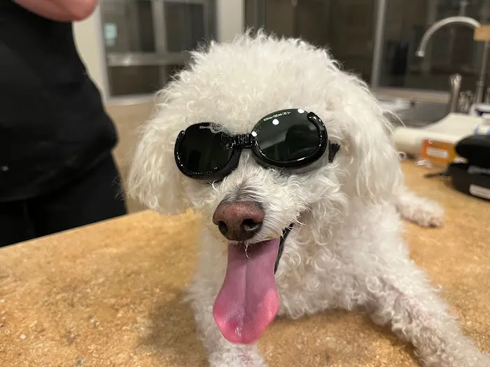 Animal Emergency Center 6