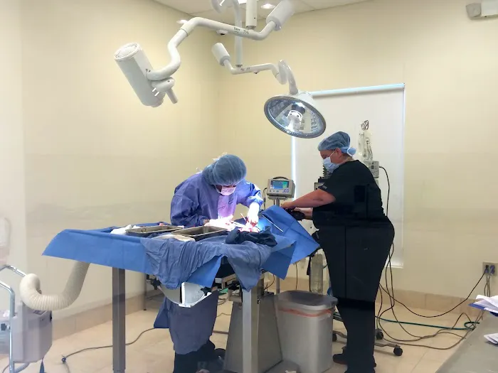 Animal Emergency Center 2