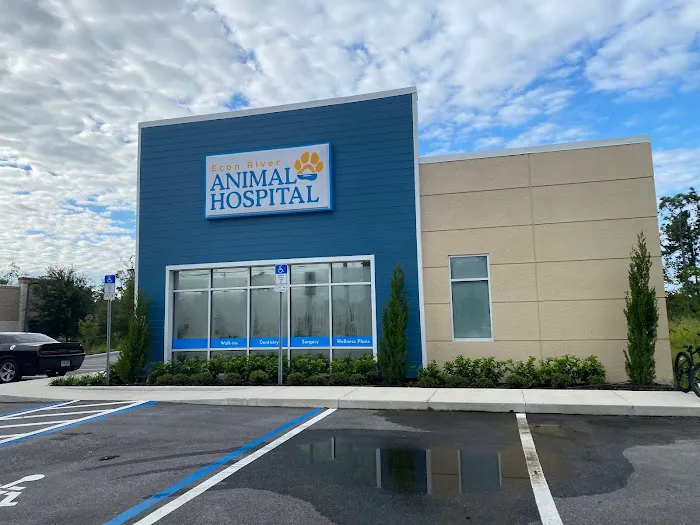 Econ River Animal Hospital 12