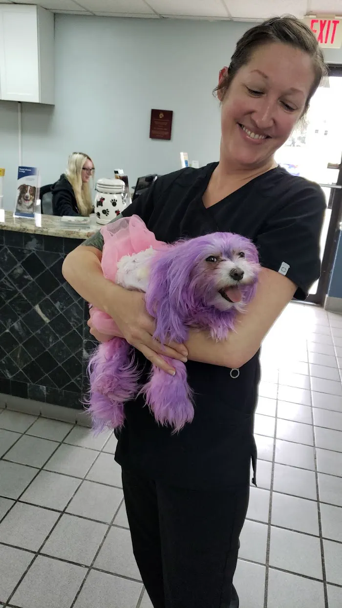 Econ River Animal Hospital 12