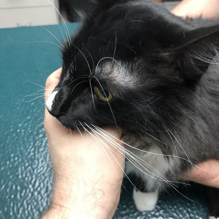 Econ River Animal Hospital 12