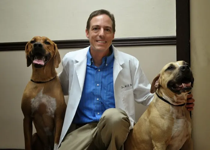 East Orange Animal Hospital 12