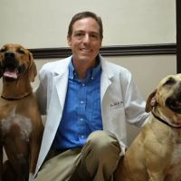 East Orange Animal Hospital ico