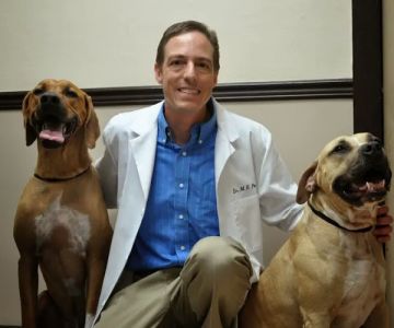 East Orange Animal Hospital