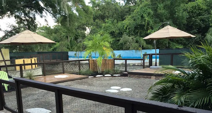 Pet Paradise Animal Hospital & Resort 12