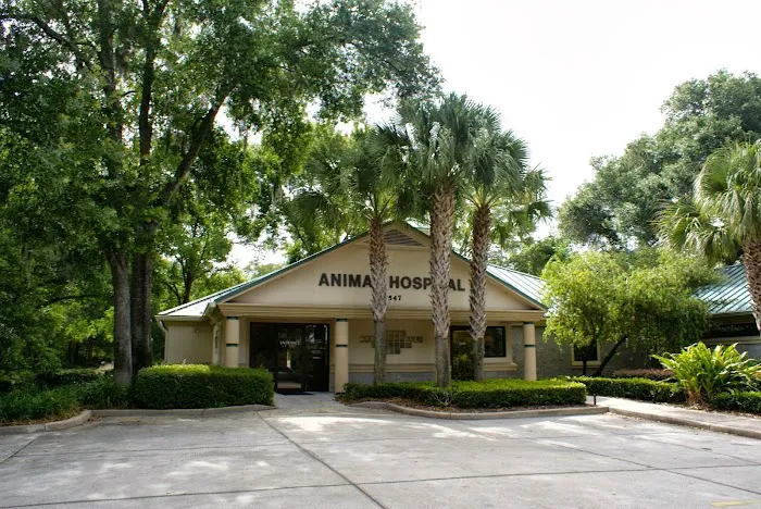 VCA Sheeler Road Animal Hospital 2
