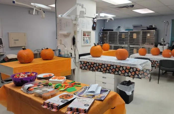 VCA Sheeler Road Animal Hospital 3