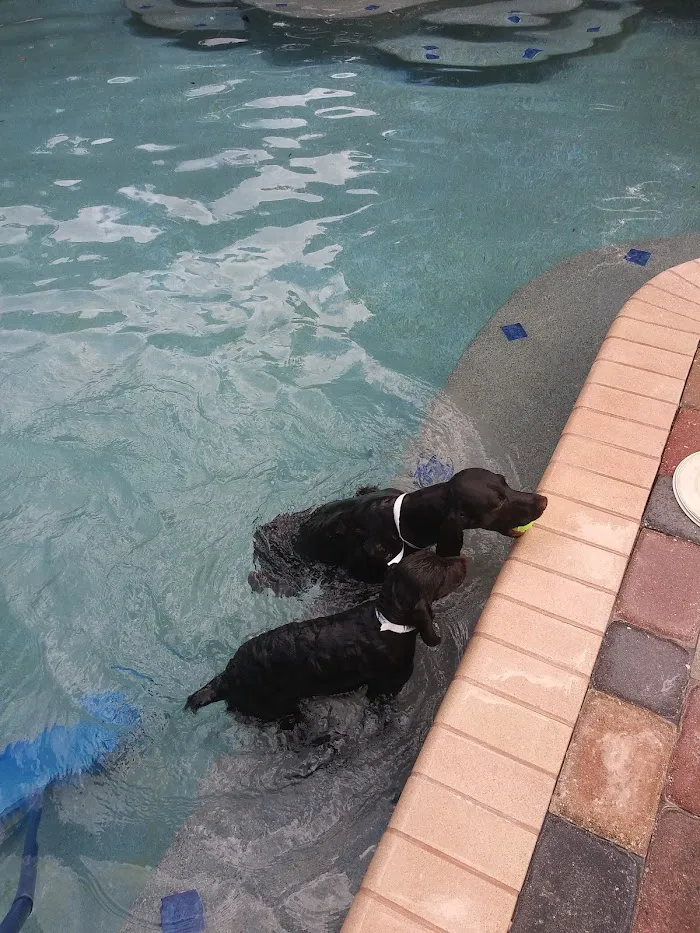 Pet Care Center of Apopka 12