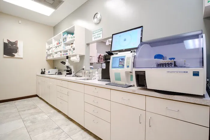 Pet Xpert Animal Clinic 12