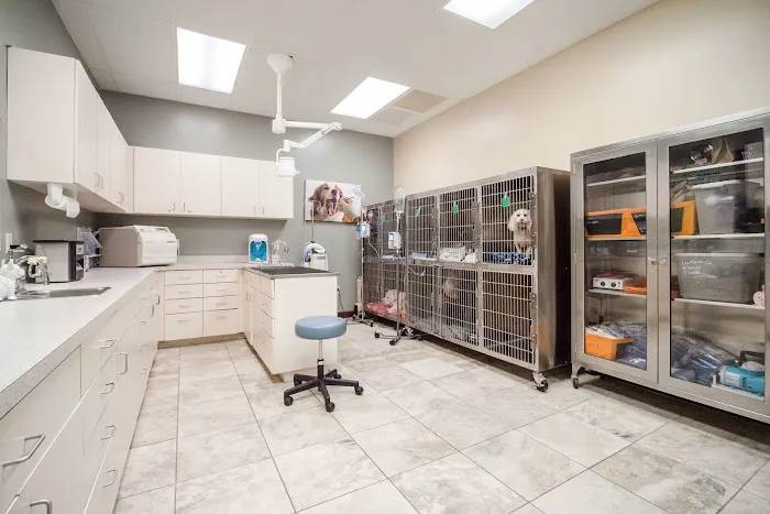 Pet Xpert Animal Clinic 12