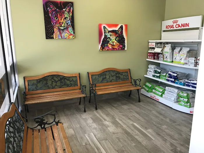 B.E.S.T. VETS Animal Hospital 12