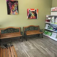 B.E.S.T. VETS Animal Hospital ico