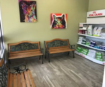 B.E.S.T. VETS Animal Hospital