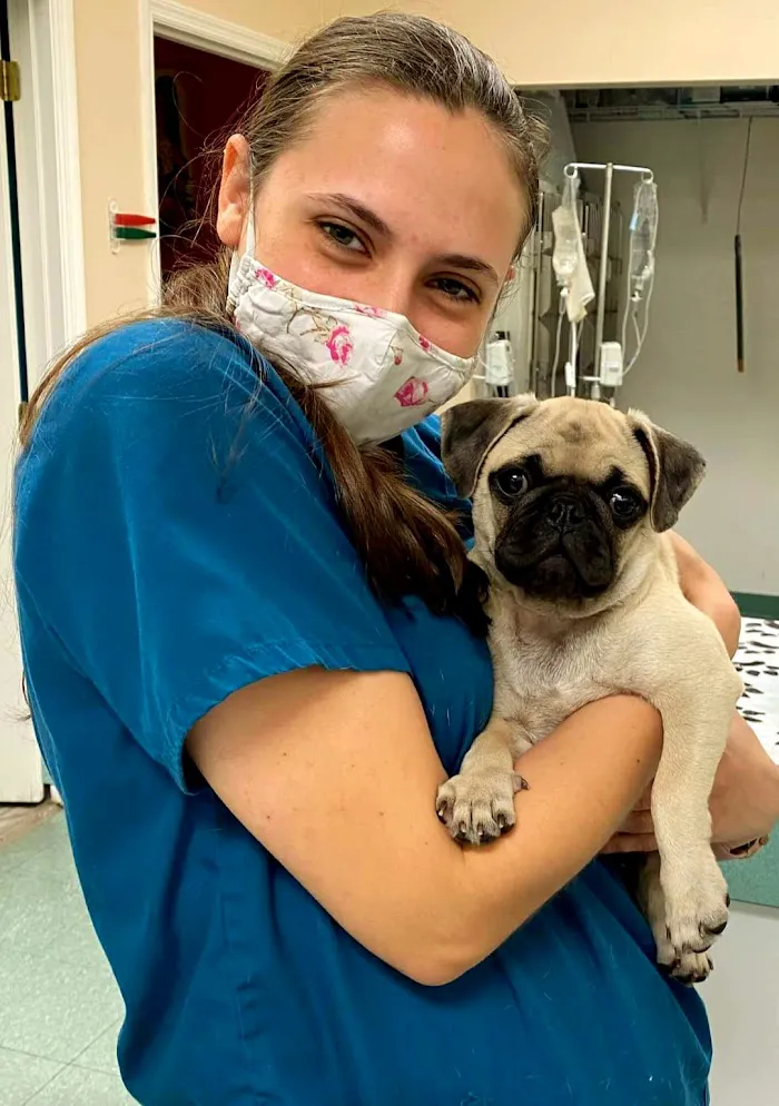B.E.S.T. VETS Animal Hospital 12