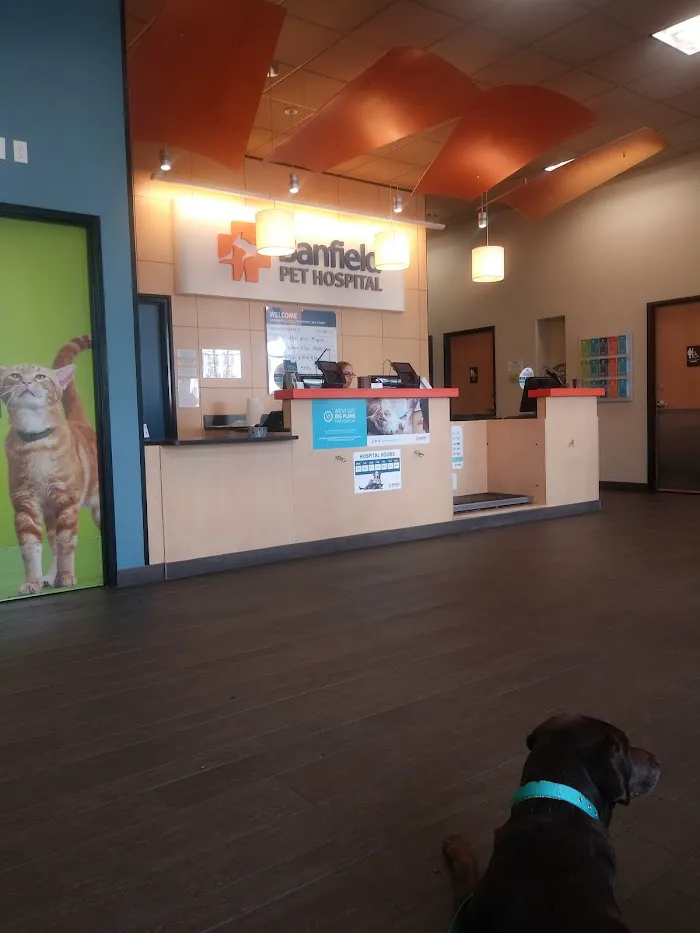Banfield Pet Hospital 12