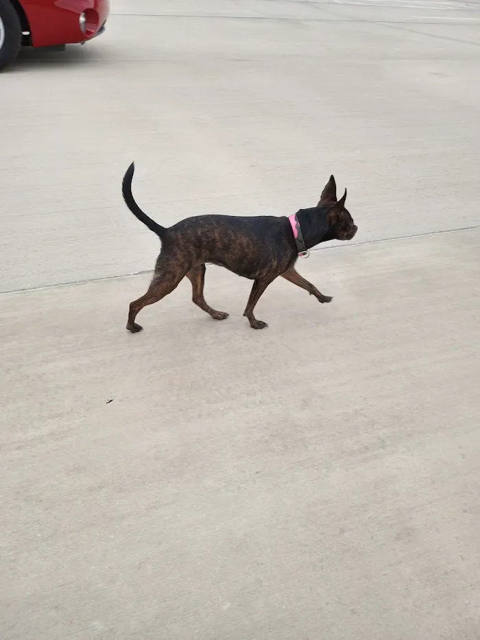 Banfield Pet Hospital 12