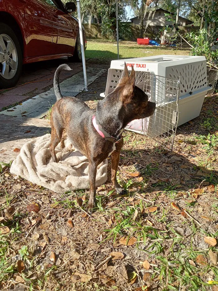 Banfield Pet Hospital 12