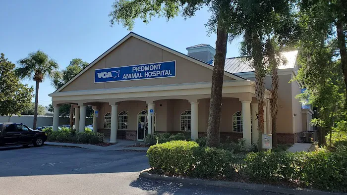 VCA Piedmont Animal Hospital 12