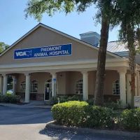 VCA Piedmont Animal Hospital ico