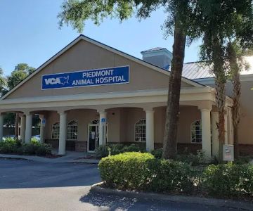 VCA Piedmont Animal Hospital